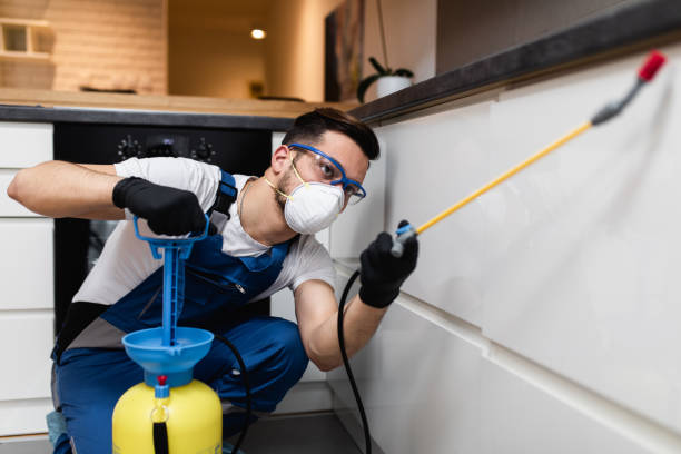 Best Affordable Pest Control Services  in Roessleville, NY
