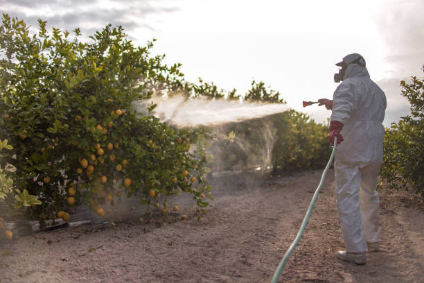 Trusted Roessleville, NY Pest Control Experts