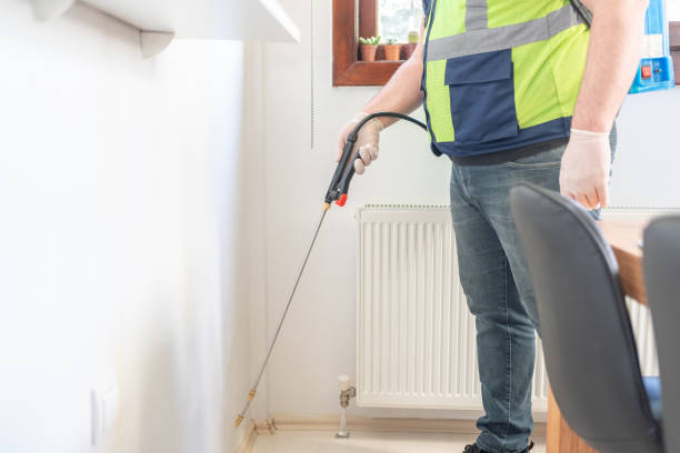 Best Exterminator Services  in Roessleville, NY