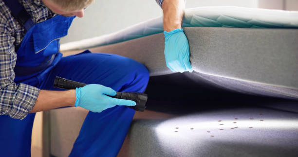 Pest Control Cost in Roessleville, NY
