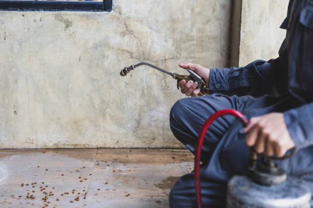 Best Best Pest Control Companies  in Roessleville, NY